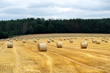 Landschaft bei der Strohernte mit vielen Strohballen - Stockfoto