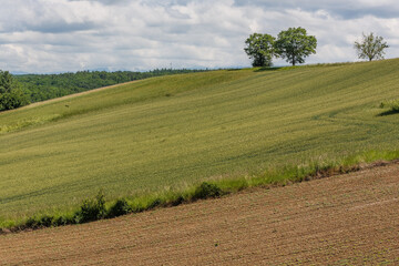 Paysage du sud ouest