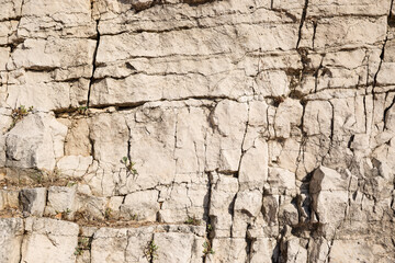 brown stone background with abstract shapes