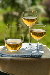 Glasses of white wine over green garden background.