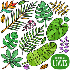 Tropical Leaves Color Doodle Illustration