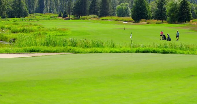 Establishing shot of golf course with gorgeous green and fantastic forest view in Vancouver, Canada, North America. Day time on July 2021. Still camera. ProRes 422 HQ.