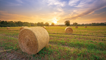 Sunset over a harvested wheat field with straw round bales
