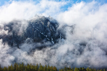 Beautiful landscape mountains covered with picturesque clouds over the edge of the forest