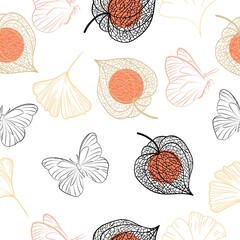 Hand drawn of Outline Physalis fruit. Vector illustration. 
