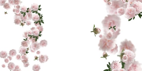light pink flowers stock image