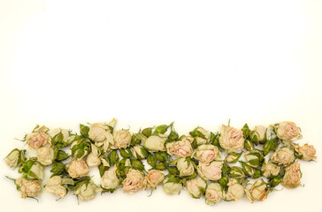 Vintage dry roses oastel background	