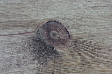 The rough texture of a brown wooden board is used for the background.