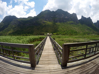 wooden bridge in the mountains