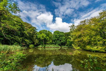 Forest lake with surrounding beech forest, The trees are reflected in the lake.