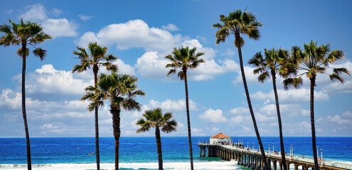Palms over Manhattan Pier
