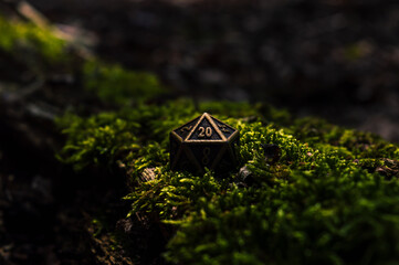 Close-up image of a metallic d-20 on a bed of moss