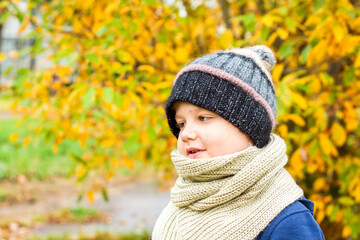 Autumn mood. A boy poses against a background of yellow leaves. Autumn portrait of a child in a knitted hat. Sight. Cute smiling boy.