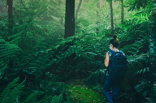 Young women with backpack walking on nature trail surrounded by green rainforest , camping ativity , inspiration and recreation concept , chiang mai north of thailand
