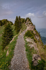 Schynige Platte, Bernese Oberland, Switzerland - Aerial Panorama View with Swiss Alps Eiger, Mönch...