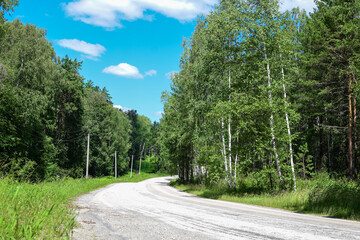 Fototapeta na wymiar Beautiful forest landscape. Empty winding road on a sunny summer day.
