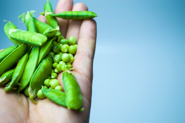 The man's hand holds a green polka dot, on a white background.