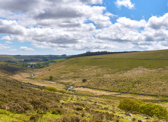 Naklejka premium The West Dart Valley and a sturdy boundary wall on a beautiful blue sky cloudy day, Dartmoor National Park, Devon, England, UK