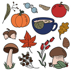 Autumn items, leaves, acorns, mushrooms, cone, cup with warm tea, berries, apple