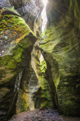 The Orridi di Uriezzo, descend deeply, the light filters from above