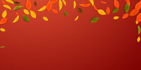 Falling autumn leaves. Red, yellow, green, brown c