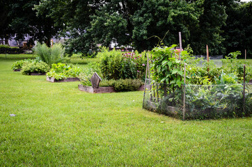 Angled Row of Community Garden Beds