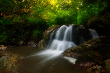Waterfall deep in the forest. The beauty of green plants in summer time.	