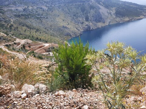Sea lagoon in Croatia - Vruja beach