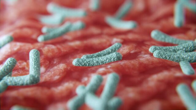 Bakterien auf Schleimhaut im K&ouml;rper - Thema Infektion oder Erreger