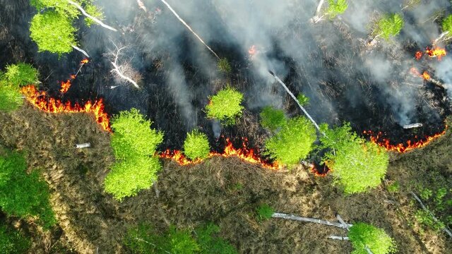 wild fire aerial view. natural disasters due to cliimate change and global warming. the wildfire season, dry weather and droughts. forest fire begins aerial view.