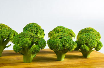 Fantasy mini landscape - trees made with broccoli on a white background, simulating a miniature forest. Concept nature, ecologic, healthy life and vegan food