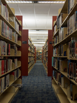 Library shelves and books