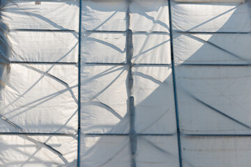 wooden structure covered with white synthetic material tarpaulin - sunlight reflection, summer, late afternoon - Powered by Adobe