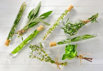 Chaotic layout of fresh herbs of spices in bundles and medicinal tinctures in test tubes on a white...