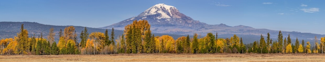 Mt. Adams panorama