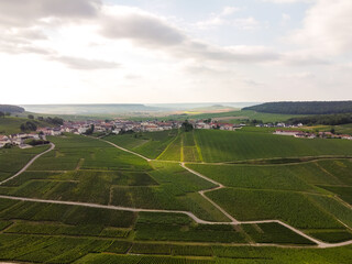 Aerial view on green vineyards in Champagne region near Epernay, France, white chardonnay wine grapes growing on chalk soils