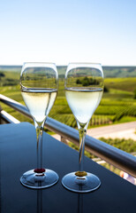 Tasting of brut and demi-sec white champagne sparkling wine from special flute glasses with Champagne vineyards on background, France