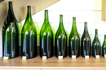 Different types of green glass champagne sparkling wine bottles from smallest to biggest - obrazy, fototapety, plakaty