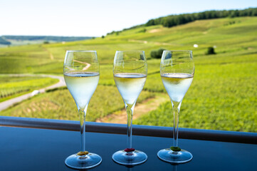 Tasting of brut and demi-sec white champagne sparkling wine from special flute glasses with Champagne vineyards on background, France