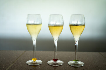 Tasting of brut and demi-sec white champagne sparkling wine from special flute glasses on Champagne vineyards, France