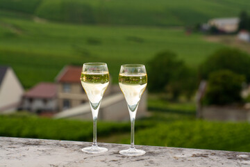 Tasting of brut and demi-sec white champagne sparkling wine from special flute glasses with Champagne vineyards on background near Cramant, France