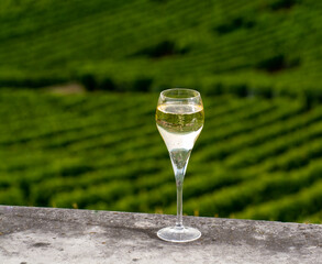 Tasting of brut and demi-sec white champagne sparkling wine from special flute glasses with Champagne vineyards on background near Cramant, France