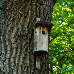 Bird house closeup