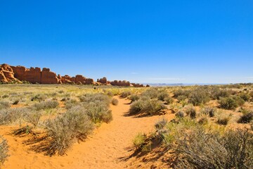 Arches National Park, Utah, USA. the landscape of contrasting colors and textures. natural stone arches and hundreds of soaring pinnacles