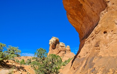 Arches National Park, Utah, USA. the landscape of contrasting colors and textures. natural stone arches and hundreds of soaring pinnacles