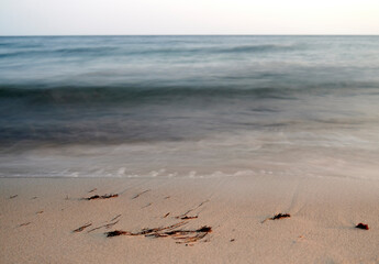 Angeschwemmte Algen an einem Sandstrand in Dänemark vor blauem Wasser