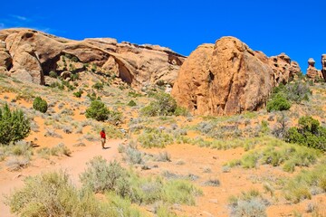 Fototapeta premium Arches National Park, Utah, USA. the landscape of contrasting colors and textures. natural stone arches and hundreds of soaring pinnacles