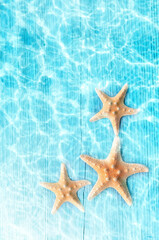 Fototapeta na wymiar Starfish on the summer beach in sea water. Summer background. Summer time.