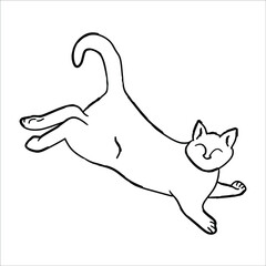 cat on a white vector silhouette