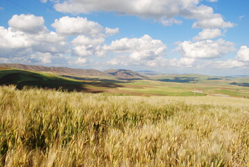 Paysages divers Algériens, hautes plaines, montagnes